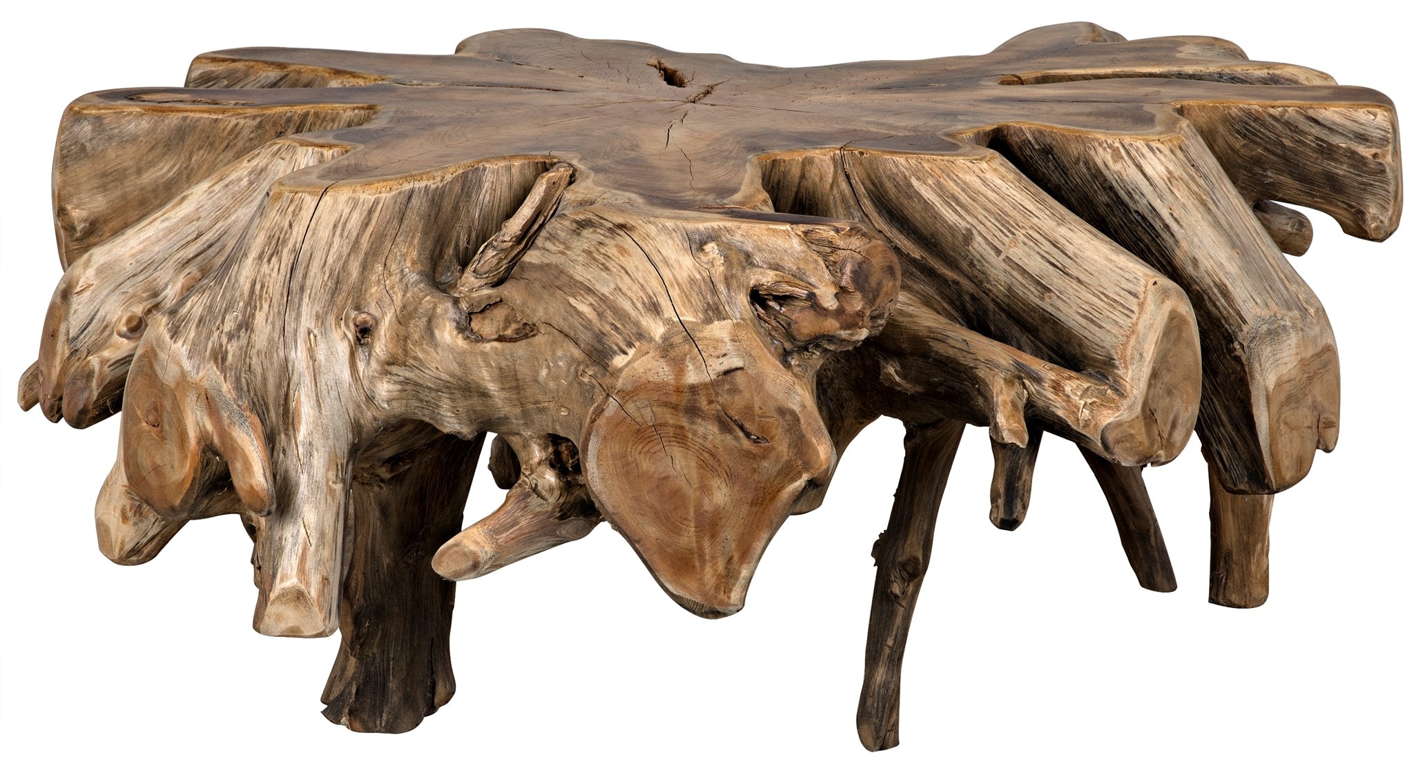 Noir Teak Root Coffee Table TEAK101 - Portland, OR | Key